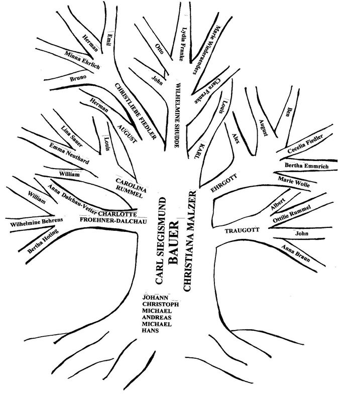 Bauer Family Tree
